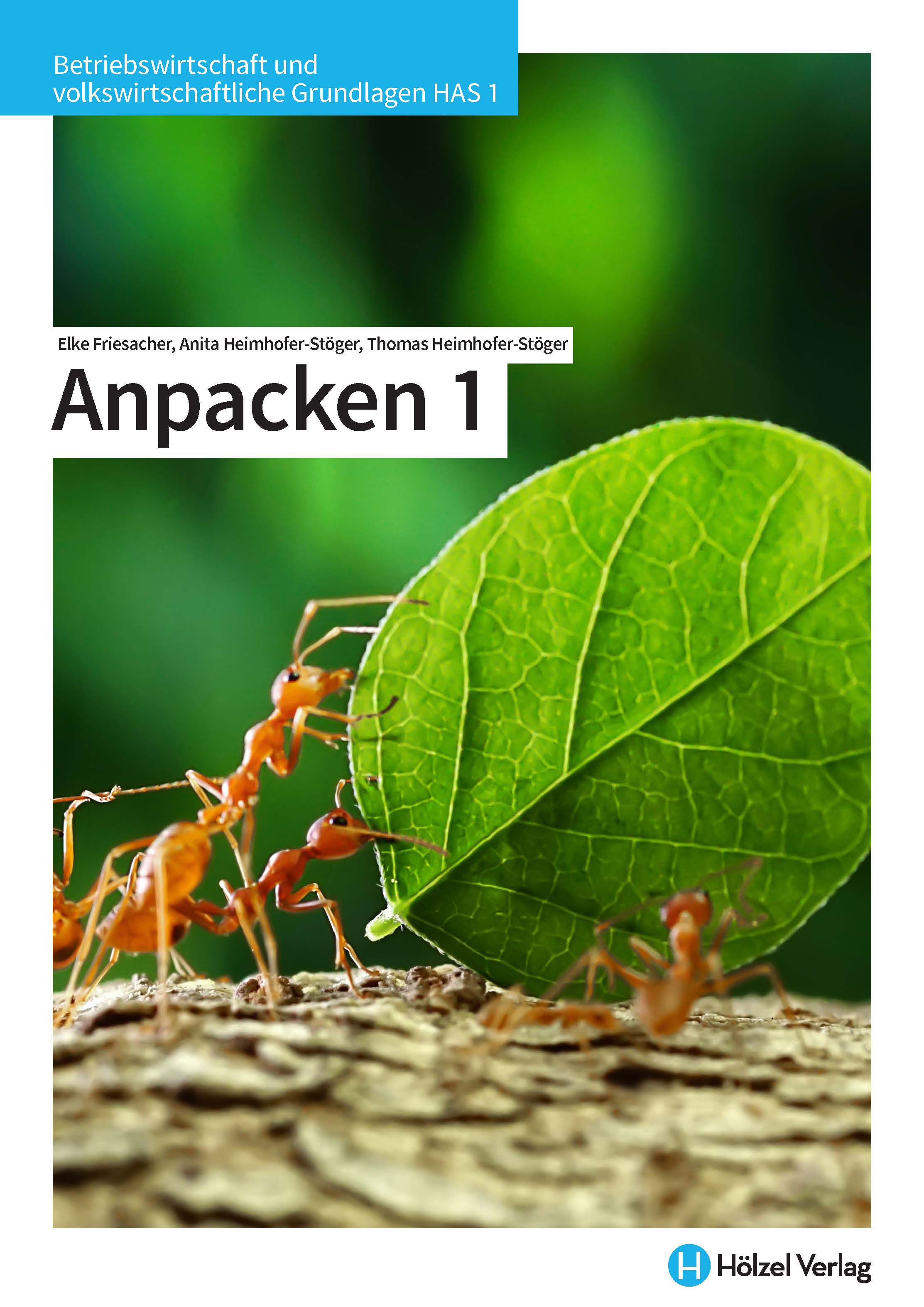 Cover anpacken Betriebswirtschaft neuer Lehrplan HAS
