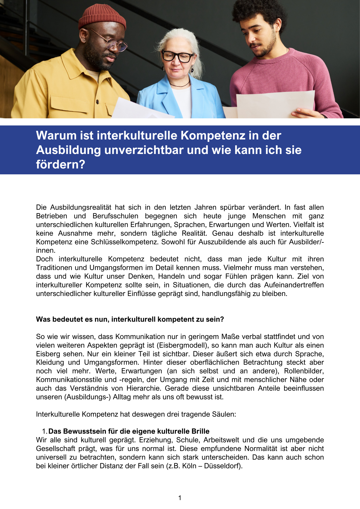 Download Blogbeitrag "Warum ist interkulturelle Kompetenz in der Ausbildung unverzichtbar und wie kann ich sie fördern?"
