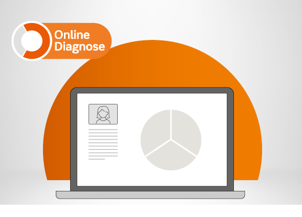 Online-Diagnose Sek