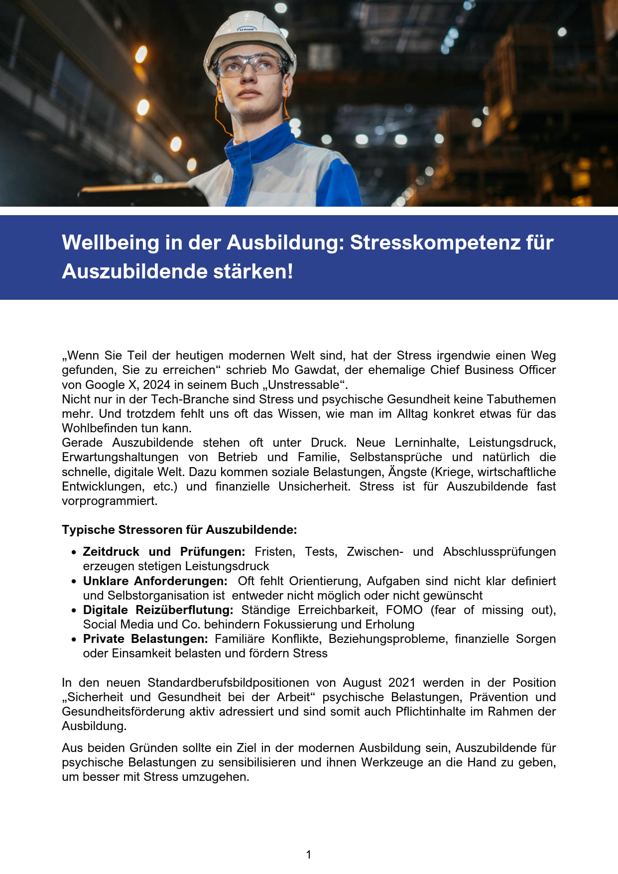 Download Blogbeitrag "Wellbeing in der Ausbildung: Stresskompetenz für Auszubildende stärken!"
