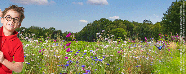 Pusteblume Sachunterricht 2026