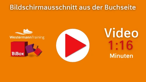 Video Bildschirmausschnitt