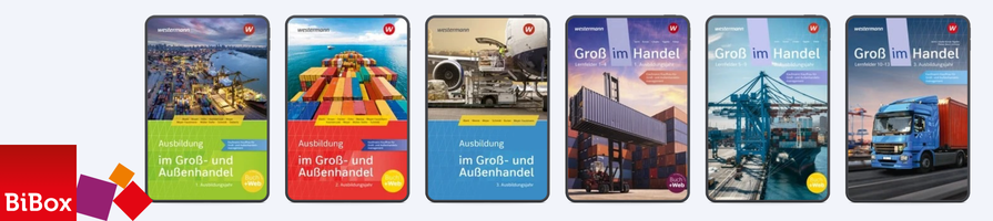 BiBoxen für Groß- und Außenhandelsmanagement