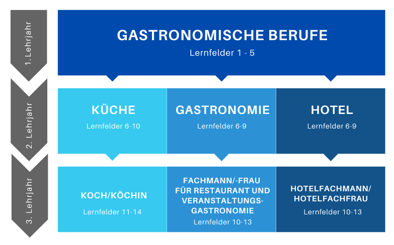 Gastronomische Berufe und Aufteilung der Lernfelder Küche, Gastronomie und Hotel