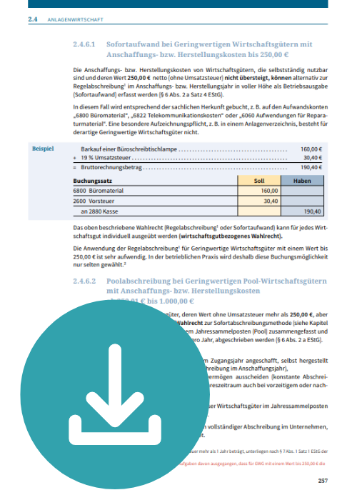 Geringwertige-Wirtschaftsgüter-Download