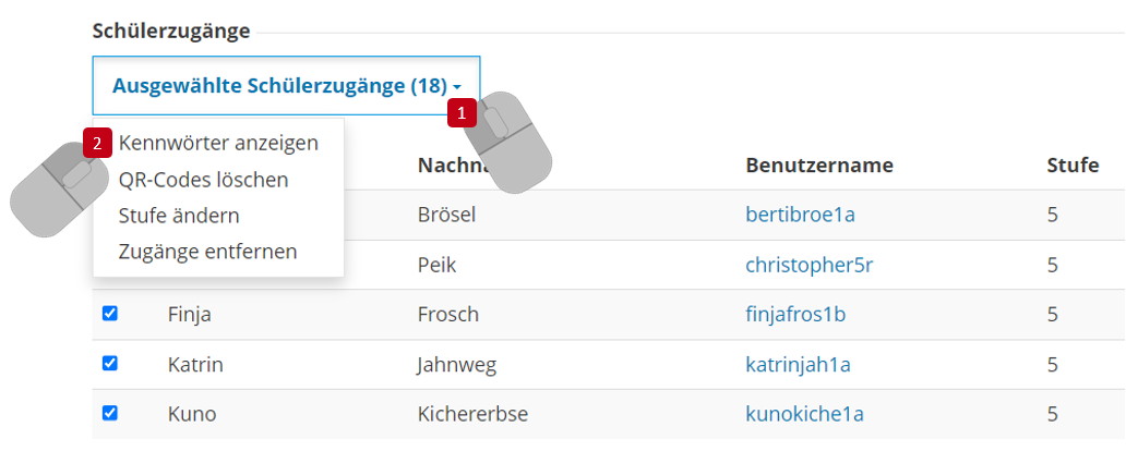Screenshot: Kennwörter von ausgewählten Schülern anzeigen lassen