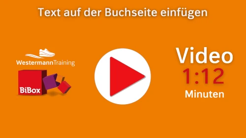 Video Medienfenster