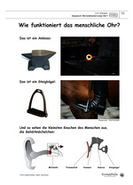 KiNT-Boxen/Klassenkisten: Schall Overhead-Folien zum Download