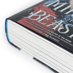 The Mirror of Beasts. Dt. Ausgabe (Die Hollower-Saga 2)