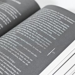 The Mirror of Beasts. Dt. Ausgabe (Die Hollower-Saga 2)