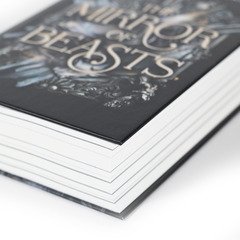 The Mirror of Beasts. Dt. Ausgabe (Die Hollower-Saga 2)