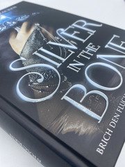 Silver in the Bone. Brich den Fluch, bevor der Fluch dich bricht (Die Hollower-Saga 1)