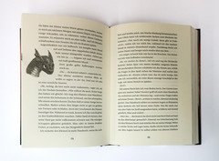 Nelly Emberwing (1). Die verbotenen Wesen von Rustgate