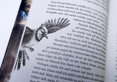 Windwalkers (1). Verborgene Flügel