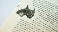 Nelly Emberwing (1). Die verbotenen Wesen von Rustgate