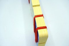 Bandolo. Erstes Naturwissen