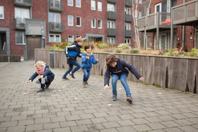 Bugs / Insekten-Suchspiel - Verstecke die Käfer und finde sie zuerst!