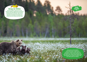 Die Sendung mit der Maus – Mein Stickerbuch mit spannendem Sachwissen: Tiere im Wald