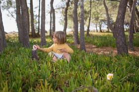 Bugs / Insekten-Suchspiel - Verstecke die Käfer und finde sie zuerst!