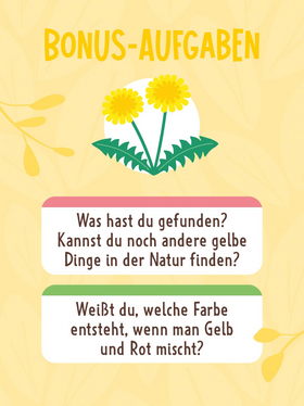 Suchen, Finden, Staunen – Meine Entdeckerkarten – Natur - Spannendes Suchspiel für Kinder ab 3 Jahren – 60 Karten