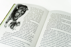 Woodwalkers – Die Rückkehr (Staffel 2, Band 5). Rivalen im Revier - Spannender Lesestoff von Bestseller-Autorin Katja Brandis rund um den Pumajungen Carag und die Gestaltwandler-Schule Clearwater High