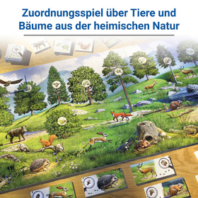 Der Natur auf der Spur - Kinderspiel ab 4 Jahre - Kennst du die Tiere und Bäume unserer Wälder?