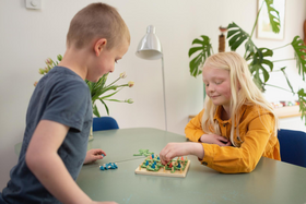 Dots and Boxes | Käsekästchen - Wer pflanzt die meisten Bäume?