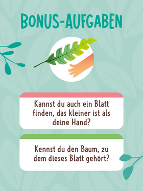 Suchen, Finden, Staunen – Meine Entdeckerkarten – Natur - Spannendes Suchspiel für Kinder ab 3 Jahren – 60 Karten