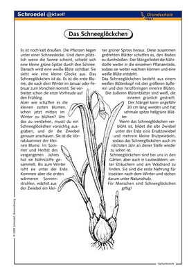 Das Schneeglockchen Ein Arbeitsblatt Zu Schneeglockchen Ab Klasse 3 Verlage Der Westermann Gruppe