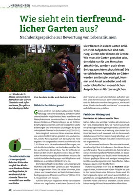 Wie Sieht Ein Hautpilz Aus Bilder