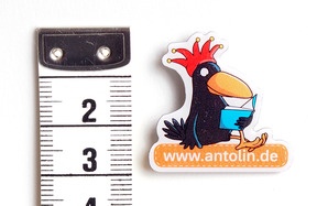 Antolin-PIN (VE 10 Stück)