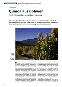 Produktabbildung zu Quinoa aus Bolivien - Vom Hoffnungsträger zum globalen Superfood