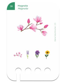 Beispielkarte: Kleine Naturforscher