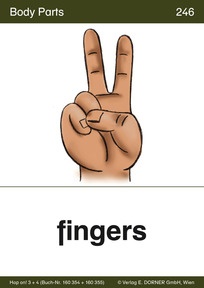 Flashcard 246