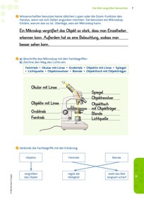 Produktabbildung zu Lösungen zum Arbeitsheft Erlebnis Biologie 7-9 (188244) zum kostenlosen Download (geschützte Anlage)