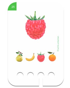 Erste Übungen - Früchte erkennen. Beispielbild Himbeere