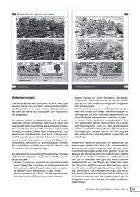 Heimat- und Sachbuch 2 Lösungen: Natur und Umwelt