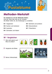 Pusteblume Sachbuch 1, Ausgabe 2017 für Niedersachsen, Hessen, Rheinland-Pfalz, Saarland, Schleswig-Holstein