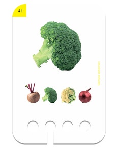 Erste Übungen - Gemüse erkennen. Beispielbild Brokkoli