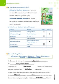Produktabbildung zu Lösungen zum Förderheft