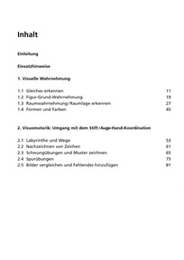 Übungen zur visuellen Wahrnehmung und Visuomotorik: Inhalt