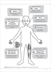 Abbildung Sinnessysteme