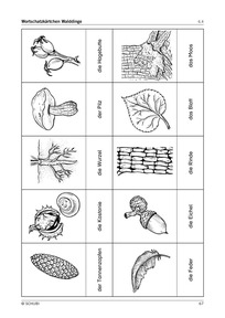 Material «Wortschatzkärtchen Walddinge»