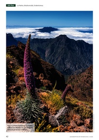 Produktabbildung zu Schatzinsel in Gefahr? - Über die Gefahren für Biodiversität am Beispiel der Kanareninsel La Palma
