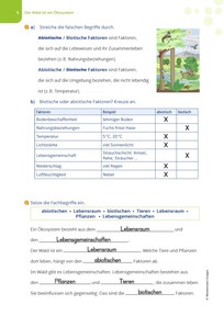 Produktabbildung zu Lösungen zum Förderheft