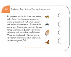 Grundschulprofi Deutsch - Beispielübung «Leseverstehen»