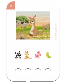 Tierisches Zuhause 4+. Beispielkarte Känguru