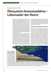 Produktabbildung zu Ökosystem Amazonasfahne – Lebensader der Meere