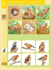 Welcher Vogel wohnt in welchem Nest?