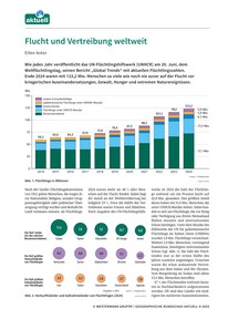 Produktabbildung zu Flucht und Vertreibung weltweit - Datenblatt November 2025